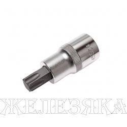 Бита-головка 1/2" TORX T55х55мм JTC