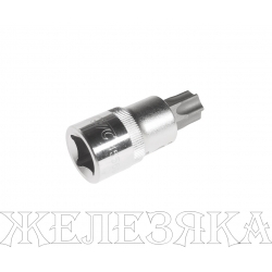 Бита-головка 1/2" TORX T60х55мм JTC