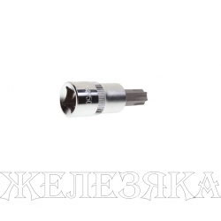 Бита-головка 3/8" TORX T50х48мм JTC