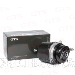 Энергоаккумулятор SCANIA тип 24/30 (дисковый тормоз) GTS Spare Parts