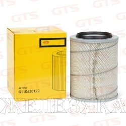 Фильтр воздушный (элемент) MERCEDES GTS Spare Parts