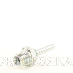 Фитинг BSP(Ш) конус 60° 1/4" (1/4"-19)