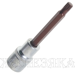 Головка-бита SPLINE 12-лучевая Premium M8 1/2" (L-100мм) ROCKFORCE /1