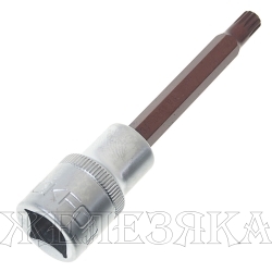 Головка-бита SPLINE 12-лучевая Premium M8 1/2" (L-100мм) ROCKFORCE /1