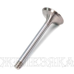 Клапан впускной VW,AUDI,SKODA,VW 1,9/2,4 D 36.1x7.97x95.1 BGA