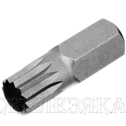 Набор бит HEX, TORX, SPLINE, шестигранный хвостовик 3/8", CrV, 42 шт.// Stels