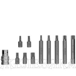 Набор бит SPLINE, шестигранный хвостовик 1 1/2'', CrV, 10 мм, 11 пред.// Stels