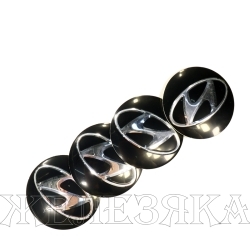 Наклейка на колпак диска колесного Hyundai D54 алюм. 3Dк-т