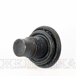 Пробка FORD Focus(1,2),Mondeo(2,3,4),Galaxy,Fiesta5,Escort7,Transit сливная поддона (с прокладкой)