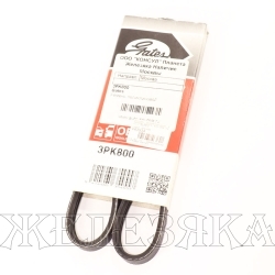 Ремень поликлиновой 3PK800 GATES NISSAN Micra GATES