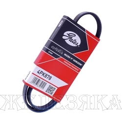 Ремень поликлиновой 4PK878 (48355) HONDA Civic,MAZDA 626 GATES