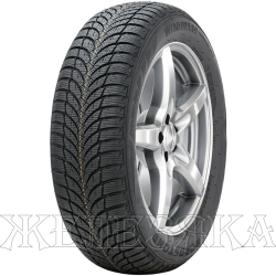 Шина ROADSTONE WINGUARD SNOWG WH2 195/55 R15 89H  m+s