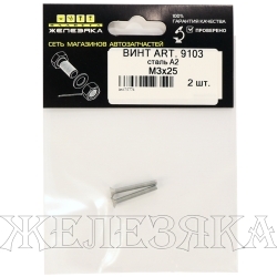 Винт М3х25 антивандальный потай.головка шлиц Spanner SP4 нержав.2шт