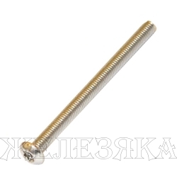 Винт М3х30 TORX A2