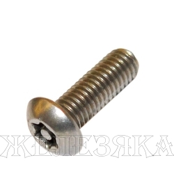 Винт М3х6 TORX-PIN A2