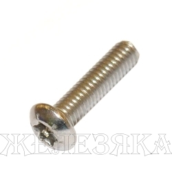 Винт М4х16 TORX A2