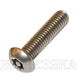 Винт М4х16 TORX-PIN A2