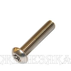 Винт М5х22 TORX A2