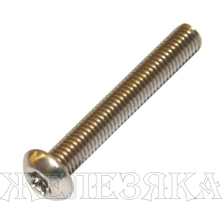 Винт М5х35 TORX A2