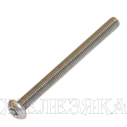 Винт М5х60 TORX-PIN A2