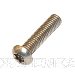 Винт М6х20 TORX A2