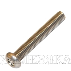 Винт М6х35 TORX-PIN A2