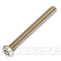 Винт М6х55 TORX-PIN A2