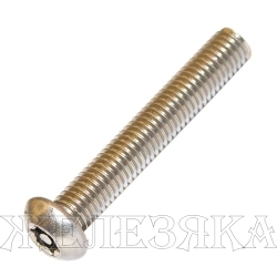 Винт М8х40 TORX-PIN A2