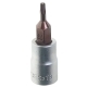 Головка-бита TORX T8, 1/4" ROCKFORCE /1/10/100