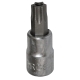 Головка-бита TORX T40Н 1/4" L=32 мм с отверстием FORCE