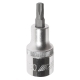 Головка-бита TORX Т30 1/2" L=55 мм JTC