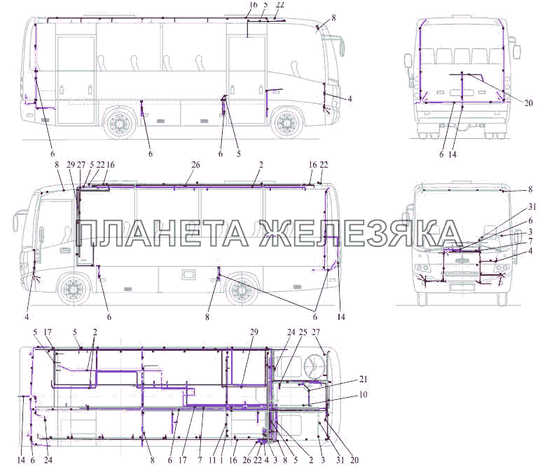 Жгуты автобуса МАЗ 256 МАЗ-256 (вариант)