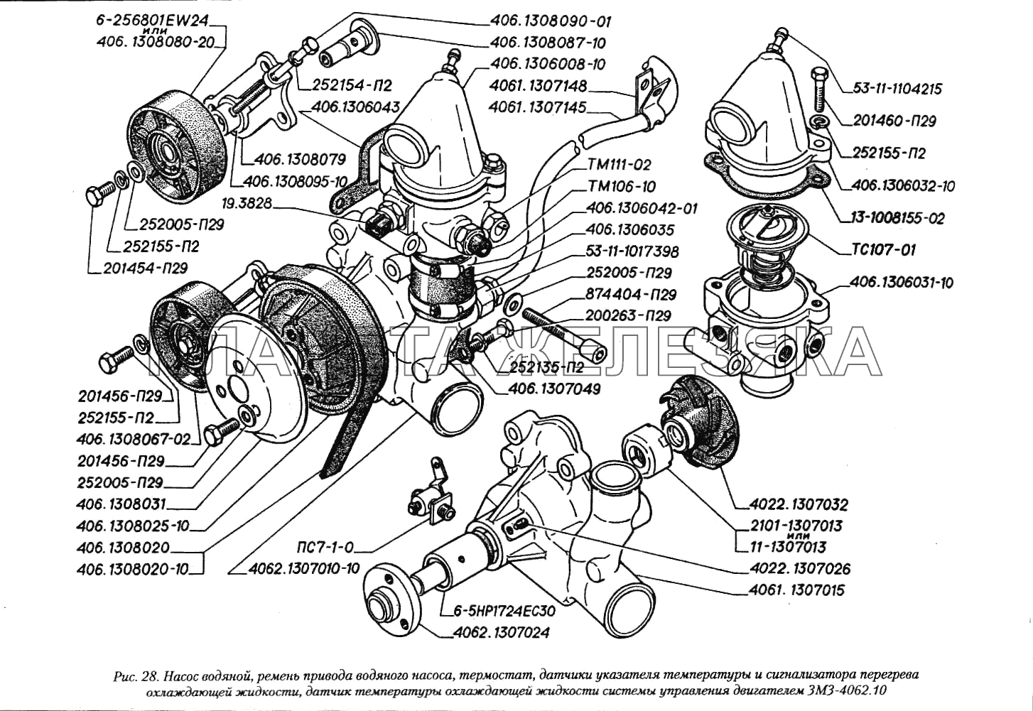 Насос водяной, ремень привода водяного насоса, термостат, датчики указателя температуры и сигнализатора перегрева охлаждающей жидкости, датчик указателя температуры охлаждающей жидкости системы управления двигателем ЗМЗ-4062.10 ГАЗ-3110