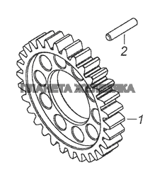 7406.1005031 Шестерня коленчатого вала КамАЗ-65115, 65116 (Евро-4)