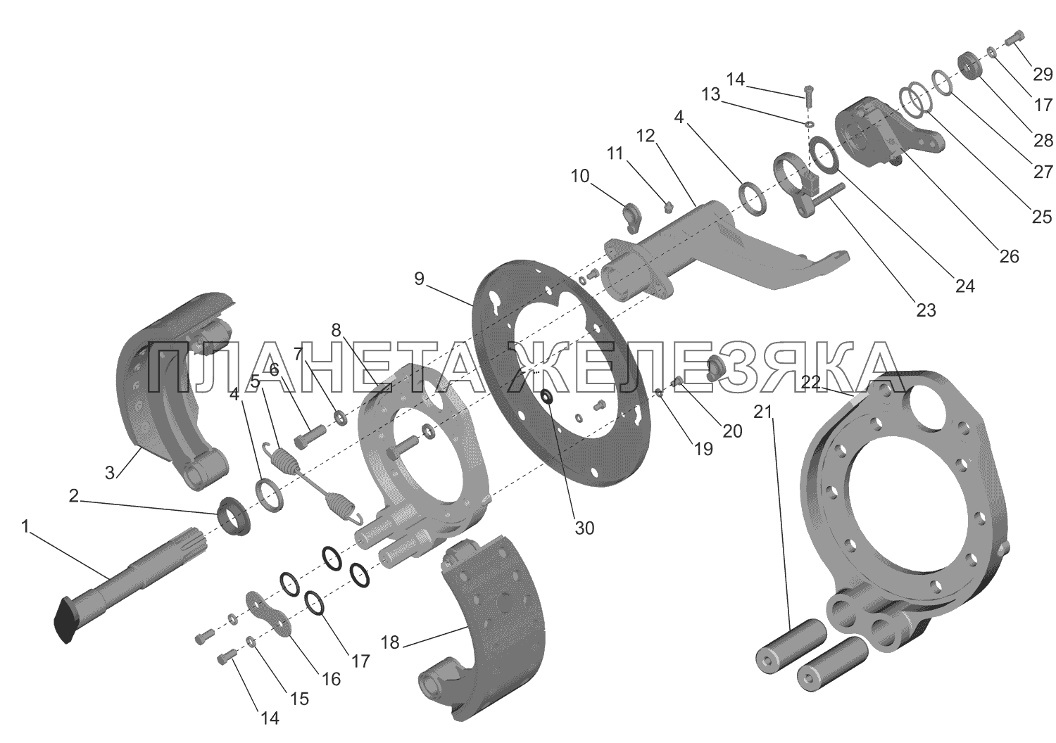 Тормозной механизм передней оси МАЗ-437130 (Зубренок)