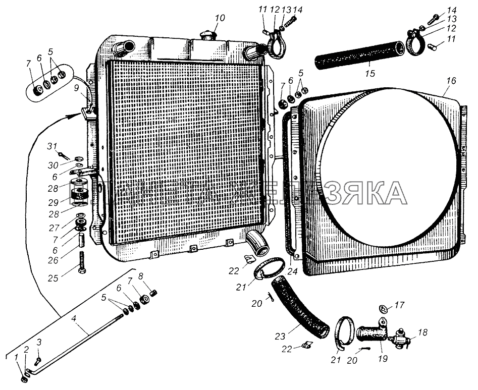 Радиатор и его крепление МАЗ-5429