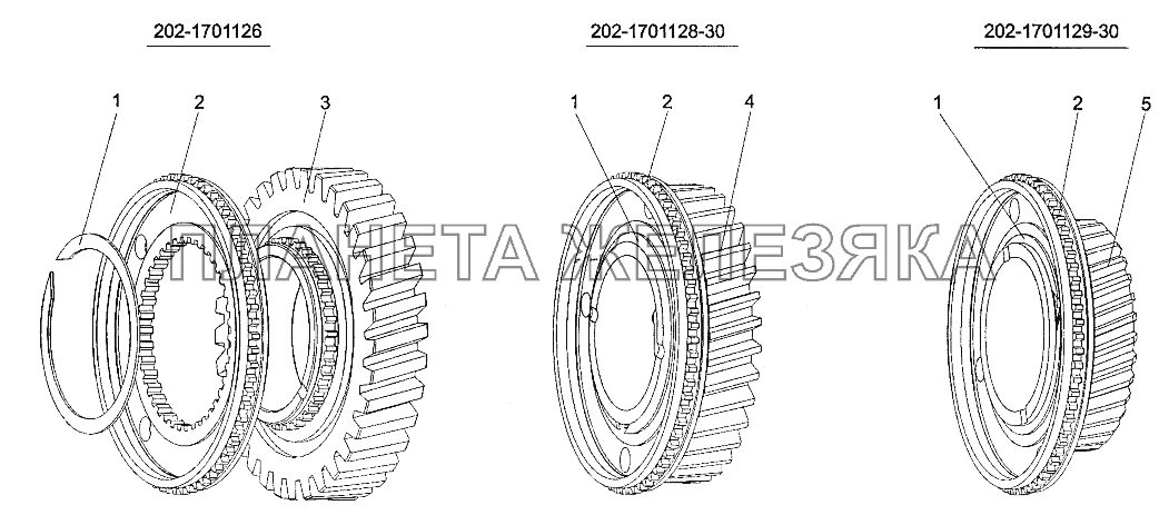 Шестерня 2-й передачи 202-1701126, 3-й передачи 202-1701128-30, 5-й передачи 202-1701129-30 МЗКТ-700600-011