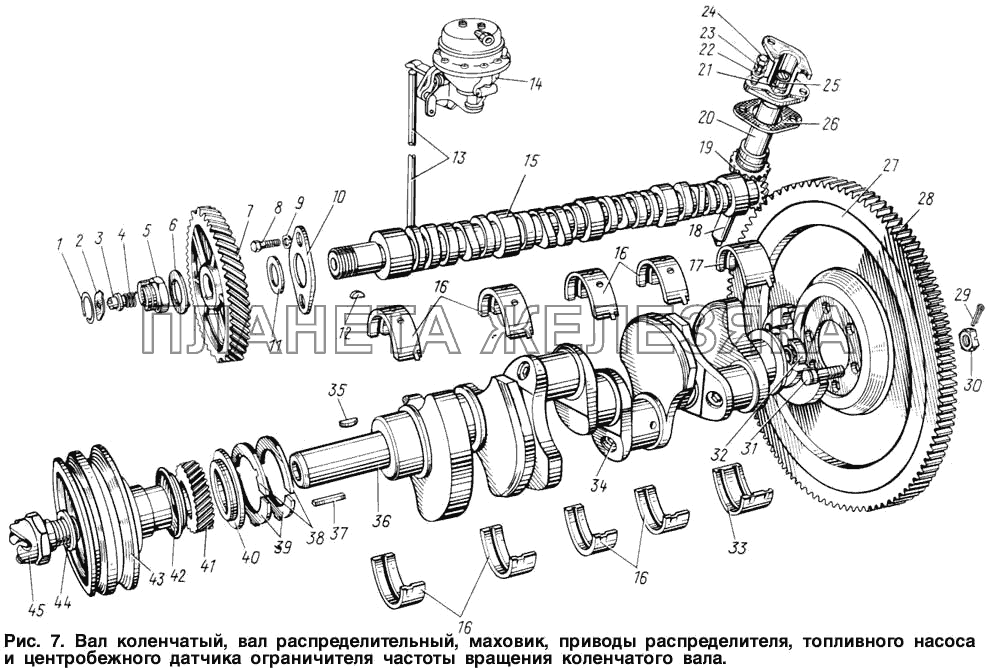 Вал коленчатый, вал распределительный, маховик, приводы распределителя, топливного насоса и центробежного датчика ограничителя частоты вращения коленчатого вала ЗИЛ-131