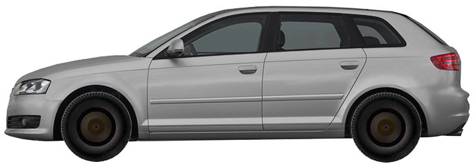 Диски на AUDI A3 2.0 TFSI 2008