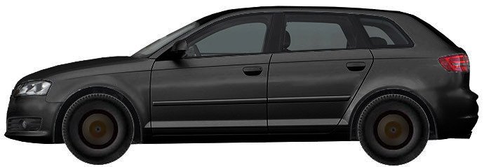 Диски на AUDI A3 2.0 TDI 2008