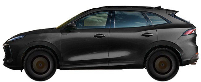 Диски FORTHING T5 Evo 1.5 Turbo (2021-2025) R19