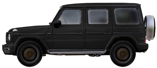 Диски на MERCEDES G-Klasse 350 d 2018